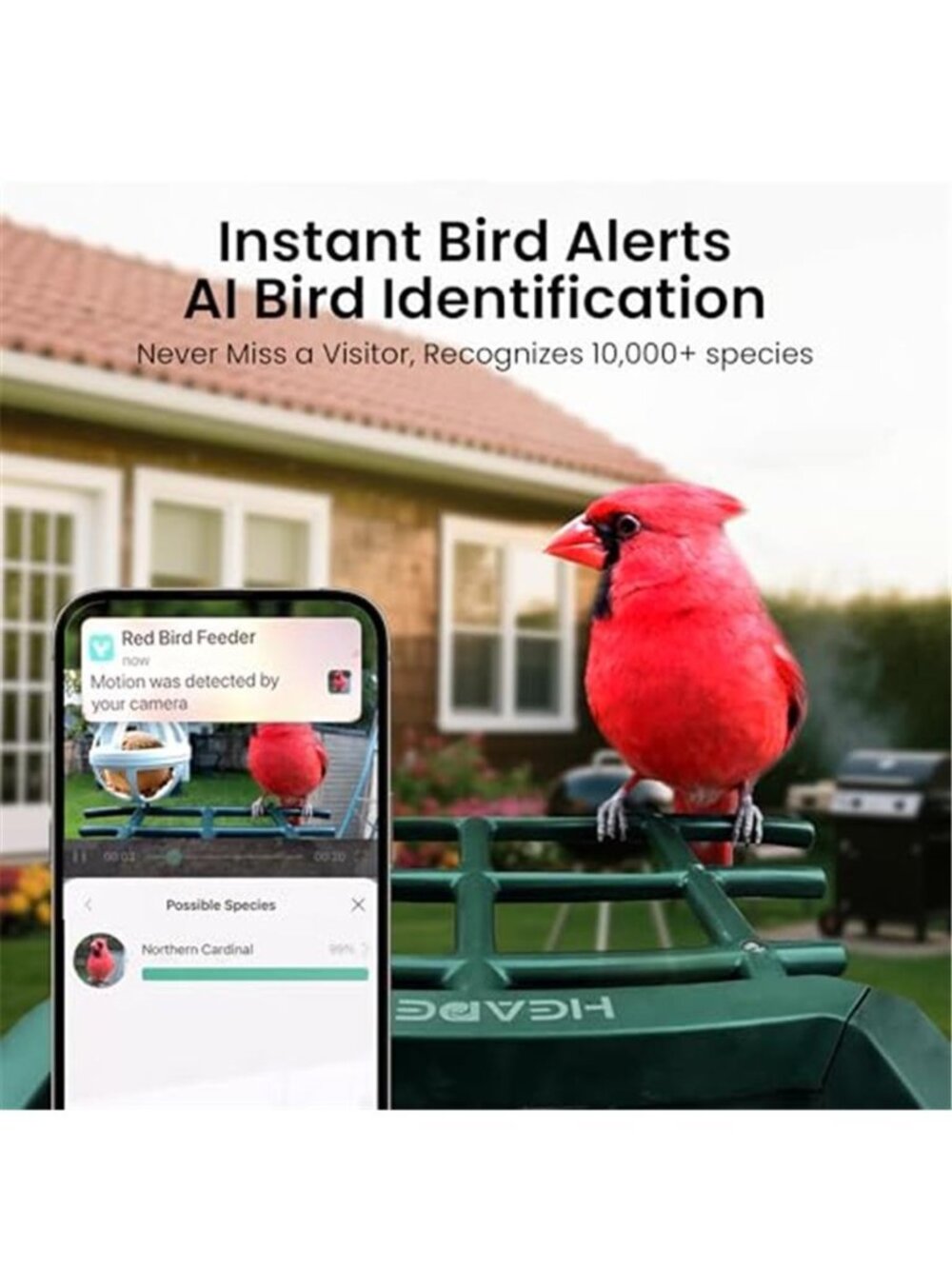 Smart Bird Feeder with Camera Solar Powered 2K HD Video, 10,000+ Species AI - Picture 3 of 7